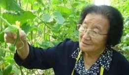 最新吃瓜爆料视频开火车,最新爆料视频背后的惊人真相